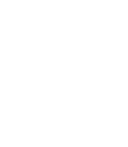 instagram social icon